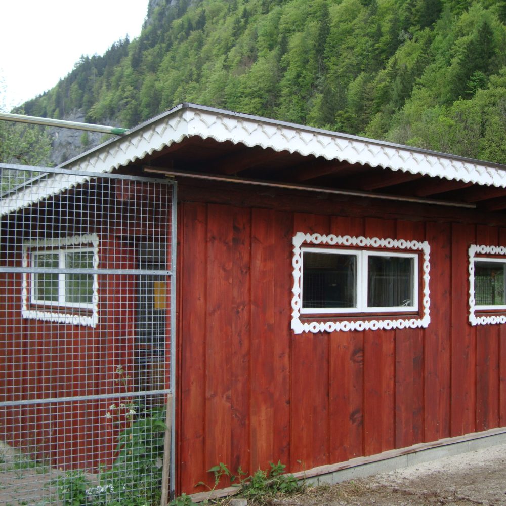 DSC01126